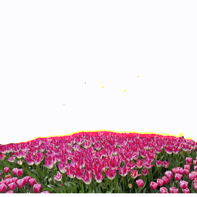 Thank you for your support