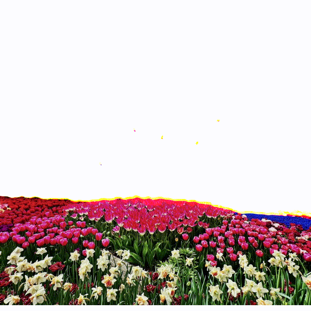 Thank you for your support